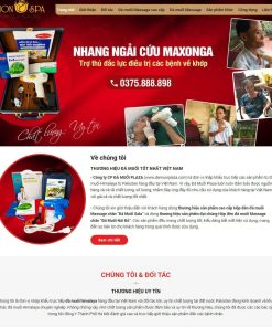 Theme wordpress bán đá muối