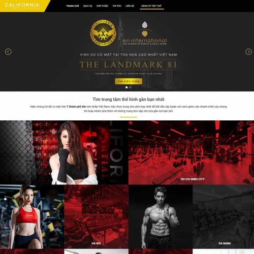 Theme WordPress trung tâm thể hình - phòng tập gym