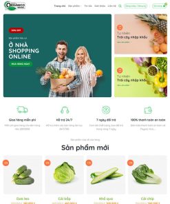 Theme wordpress bán thực phẩm sạch 04
