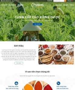 Theme wordpress thực phẩm chức năng 11