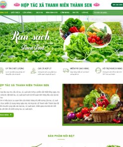 Theme wordpress thực phẩm sạch 08